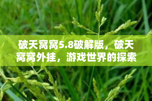 破天窝窝5.8破解版，破天窝窝外挂，游戏世界的探索与挑战