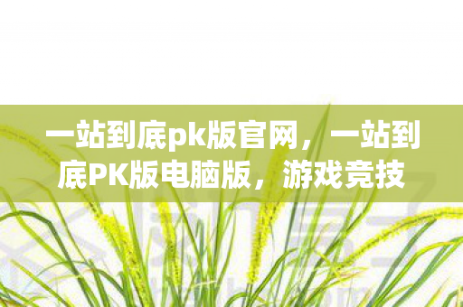 一站到底pk版官网，一站到底PK版电脑版，游戏竞技的新体验