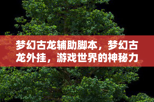 梦幻古龙辅助脚本，梦幻古龙外挂，游戏世界的神秘力量