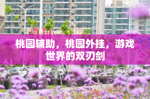 桃园辅助，桃园外挂，游戏世界的双刃剑