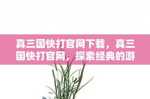 真三国快打官网下载，真三国快打官网，探索经典的游戏世界