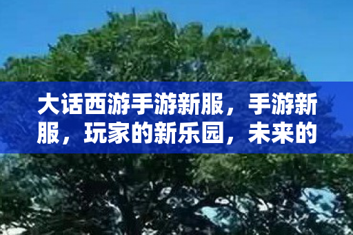 大话西游手游新服，手游新服，玩家的新乐园，未来的无限可能