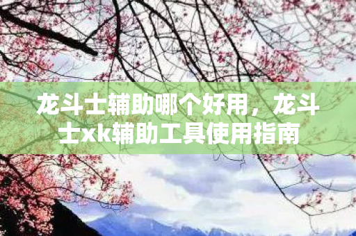 龙斗士辅助哪个好用，龙斗士xk辅助工具使用指南