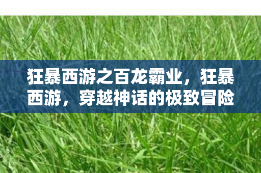 狂暴西游之百龙霸业，狂暴西游，穿越神话的极致冒险
