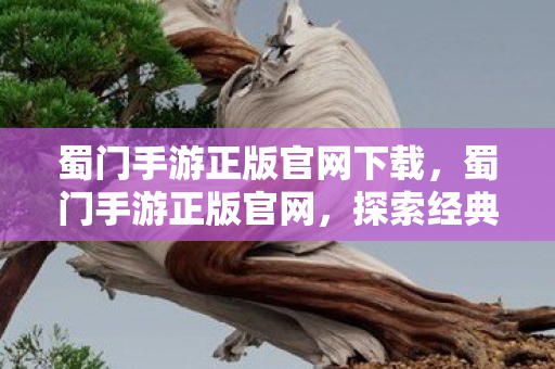 蜀门手游正版官网下载，蜀门手游正版官网，探索经典，体验极致游戏