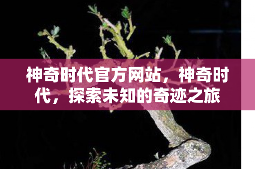 神奇时代官方网站，神奇时代，探索未知的奇迹之旅