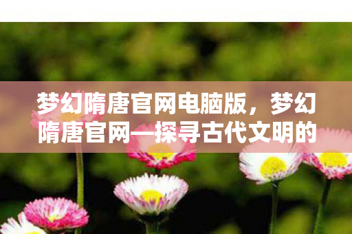 梦幻隋唐官网电脑版，梦幻隋唐官网—探寻古代文明的魅力之源
