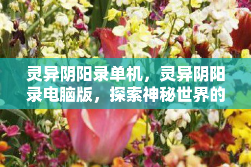 灵异阴阳录单机，灵异阴阳录电脑版，探索神秘世界的必备工具