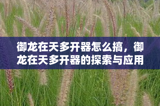 御龙在天多开器怎么搞，御龙在天多开器的探索与应用