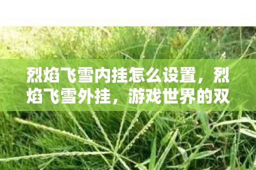 烈焰飞雪内挂怎么设置，烈焰飞雪外挂，游戏世界的双刃剑