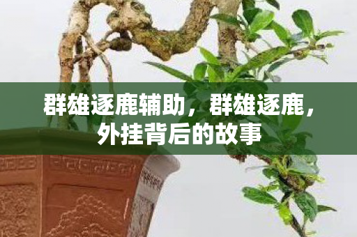 群雄逐鹿辅助，群雄逐鹿，外挂背后的故事