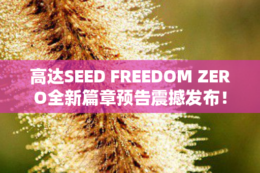 高达SEED FREEDOM ZERO全新篇章预告震撼发布！
