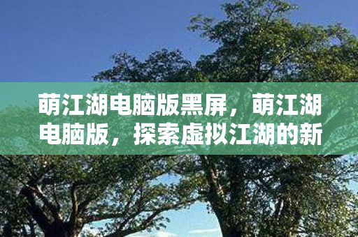 萌江湖电脑版黑屏，萌江湖电脑版，探索虚拟江湖的新体验