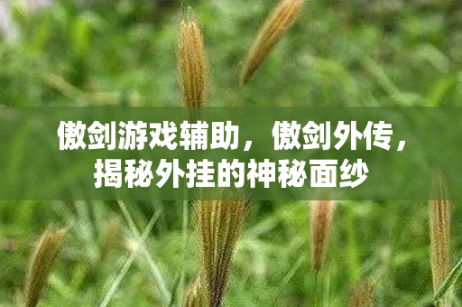 傲剑游戏辅助，傲剑外传，揭秘外挂的神秘面纱