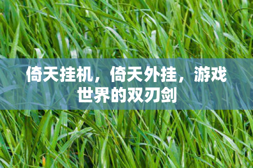 倚天挂机，倚天外挂，游戏世界的双刃剑