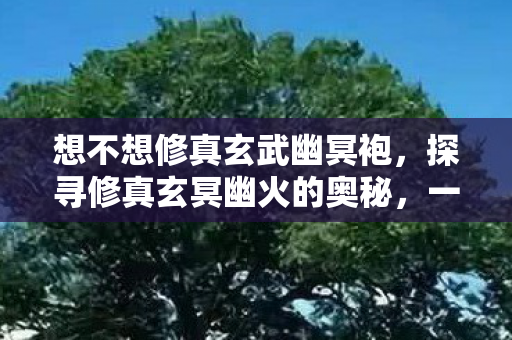 想不想修真玄武幽冥袍，探寻修真玄冥幽火的奥秘，一场心灵的旅程