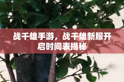 战千雄手游，战千雄新服开启时间表揭秘