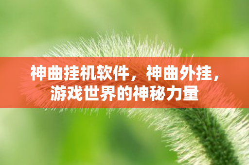 神曲挂机软件，神曲外挂，游戏世界的神秘力量