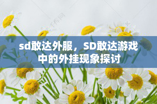 sd敢达外服，SD敢达游戏中的外挂现象探讨