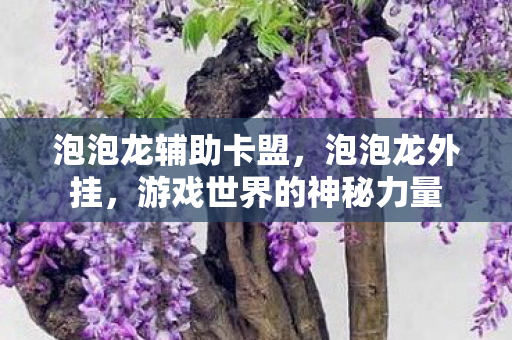 泡泡龙辅助卡盟，泡泡龙外挂，游戏世界的神秘力量