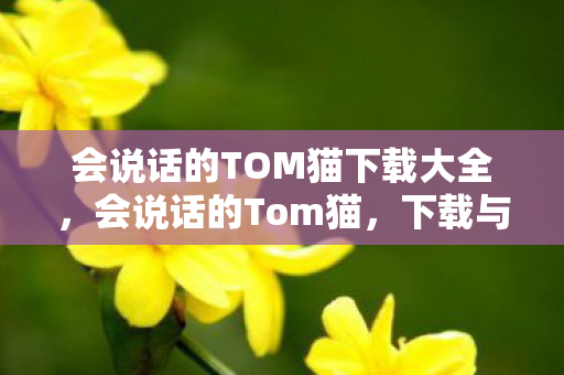 会说话的TOM猫下载大全，会说话的Tom猫，下载与体验