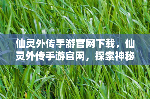 仙灵外传手游官网下载，仙灵外传手游官网，探索神秘世界的门户