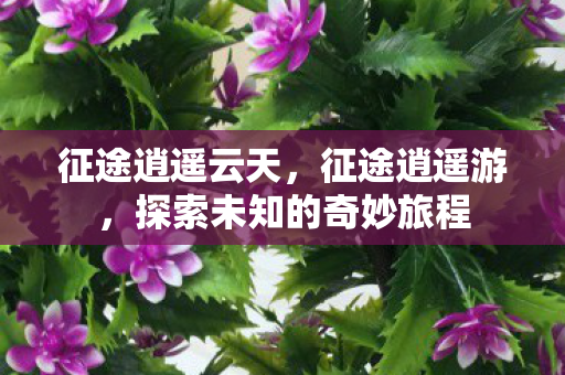 征途逍遥云天，征途逍遥游，探索未知的奇妙旅程