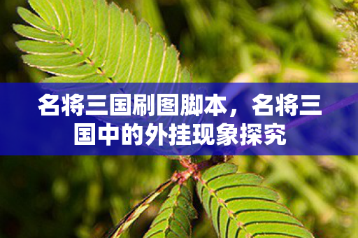 名将三国刷图脚本，名将三国中的外挂现象探究