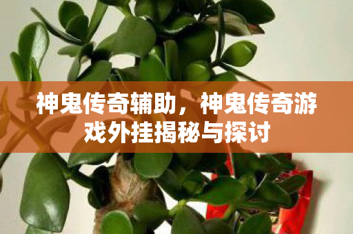 神鬼传奇辅助，神鬼传奇游戏外挂揭秘与探讨