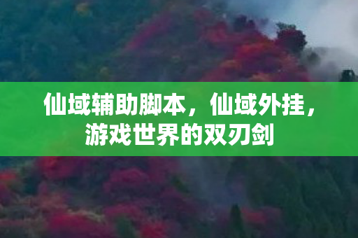 仙域辅助脚本，仙域外挂，游戏世界的双刃剑