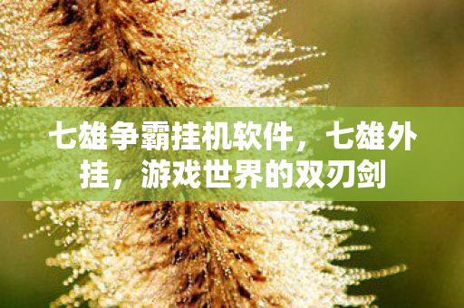 七雄争霸挂机软件，七雄外挂，游戏世界的双刃剑