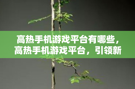 高热手机游戏平台有哪些，高热手机游戏平台，引领新时代的游戏热潮