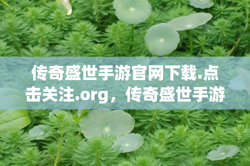 传奇盛世手游官网下载.点击关注.org，传奇盛世手游，探索奇幻世界的无尽魅力