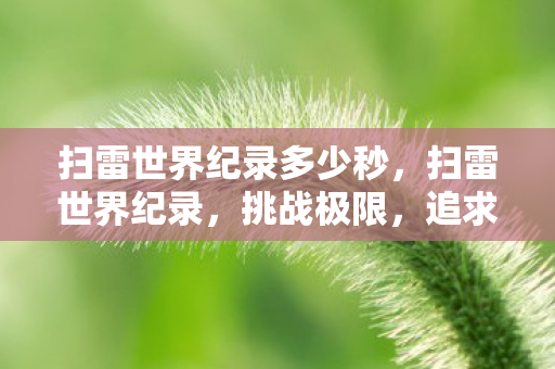 扫雷世界纪录多少秒，扫雷世界纪录，挑战极限，追求极致