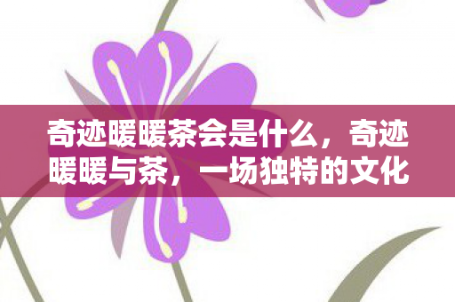 奇迹暖暖茶会是什么，奇迹暖暖与茶，一场独特的文化与时尚之旅