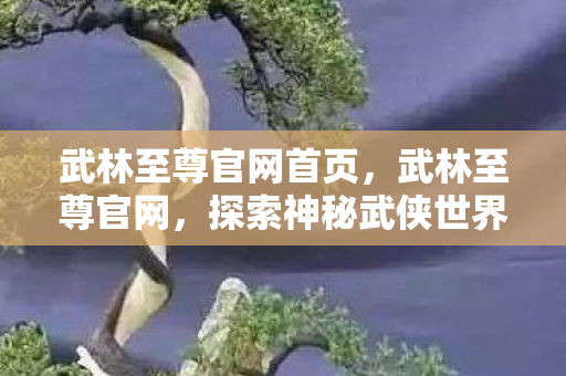 武林至尊官网首页，武林至尊官网，探索神秘武侠世界的门户