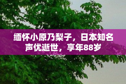 缅怀小原乃梨子，日本知名声优逝世，享年88岁