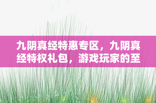 九阴真经特惠专区，九阴真经特权礼包，游戏玩家的至尊福利