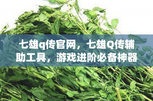 七雄q传官网，七雄Q传辅助工具，游戏进阶必备神器