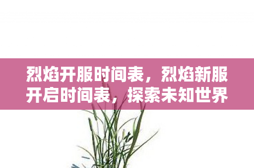 烈焰开服时间表，烈焰新服开启时间表，探索未知世界的启程