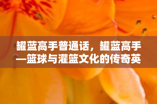 罐蓝高手普通话，罐蓝高手—篮球与灌篮文化的传奇英雄