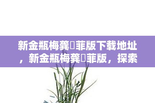 新金瓶梅龚玥菲版下载地址，新金瓶梅龚玥菲版，探索经典之作的魅力与改编艺术