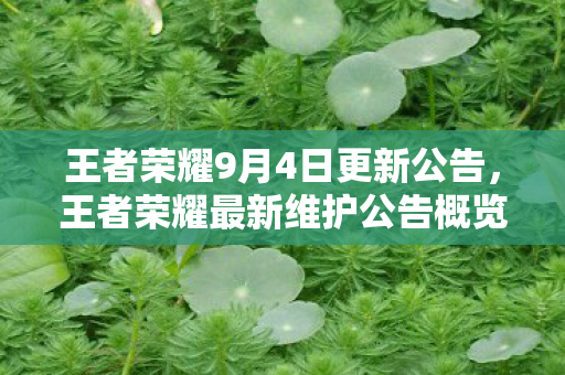 王者荣耀9月4日更新公告，王者荣耀最新维护公告概览