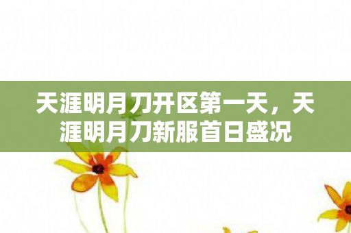 天涯明月刀开区第一天，天涯明月刀新服首日盛况