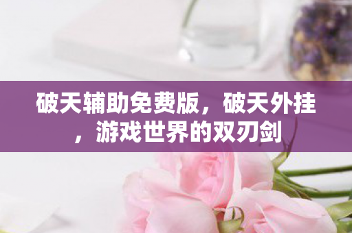 破天辅助免费版，破天外挂，游戏世界的双刃剑