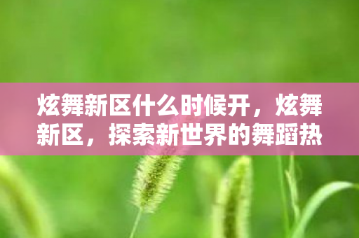 炫舞新区什么时候开，炫舞新区，探索新世界的舞蹈热潮