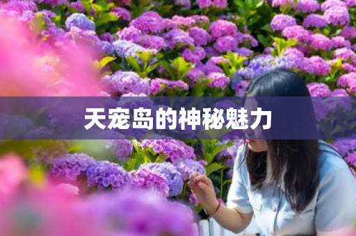天宠岛的神秘魅力