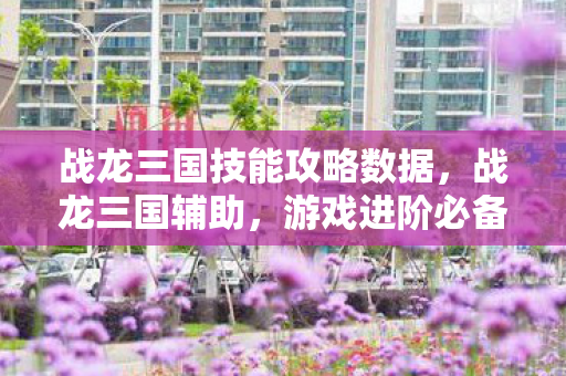 战龙三国技能攻略数据，战龙三国辅助，游戏进阶必备工具