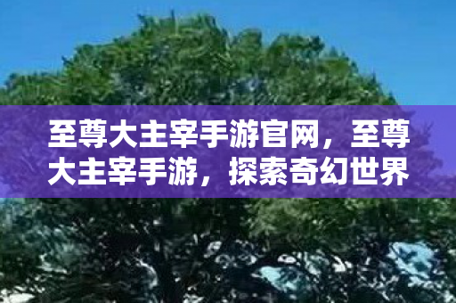 至尊大主宰手游官网，至尊大主宰手游，探索奇幻世界的无限魅力