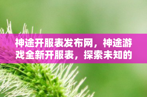 神途开服表发布网，神途游戏全新开服表，探索未知的奇幻世界